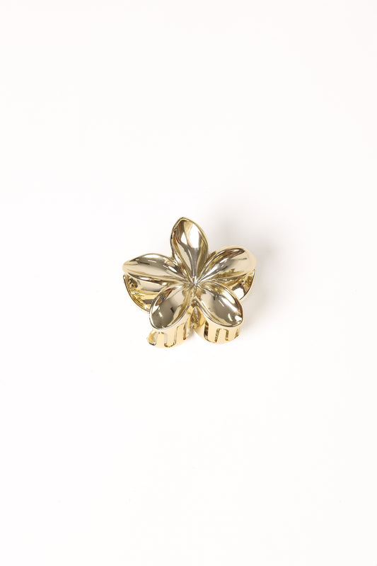 Tiarne Hair Clip - Gold